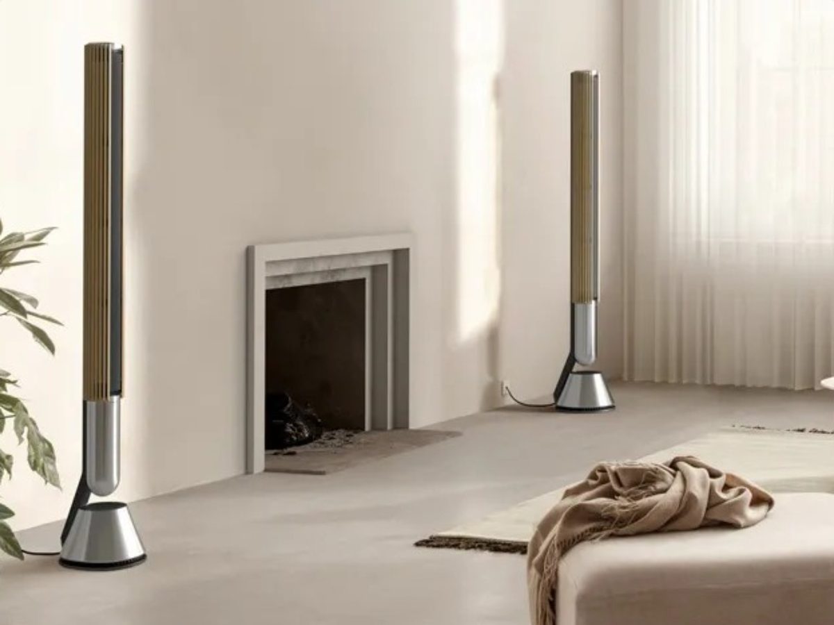 BeoLab 28 Silver / Oak